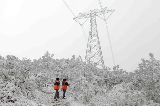 迎峰度冬保供电｜热血融冰  浴“雪”奋战